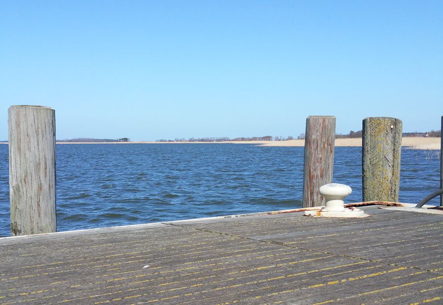 Fahrrad Neumann Zingst